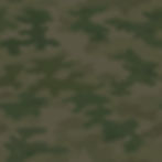 very subtle camo background with green and gray _edited.jpg