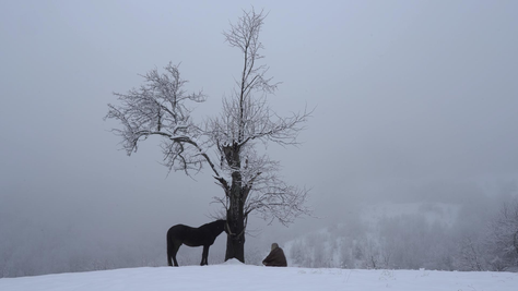 SHEFFIELD DOC FESTIVAL WINNER MAJA NOVAKOVIĆ ON 'AT THE DOOR OF THE HOUSE WHO WILL COME KNOCKING'