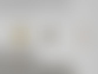 BONA DE MANDIARGUES AT ALISON JACQUES