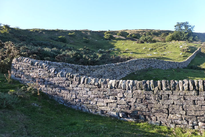 walling 004.jpg