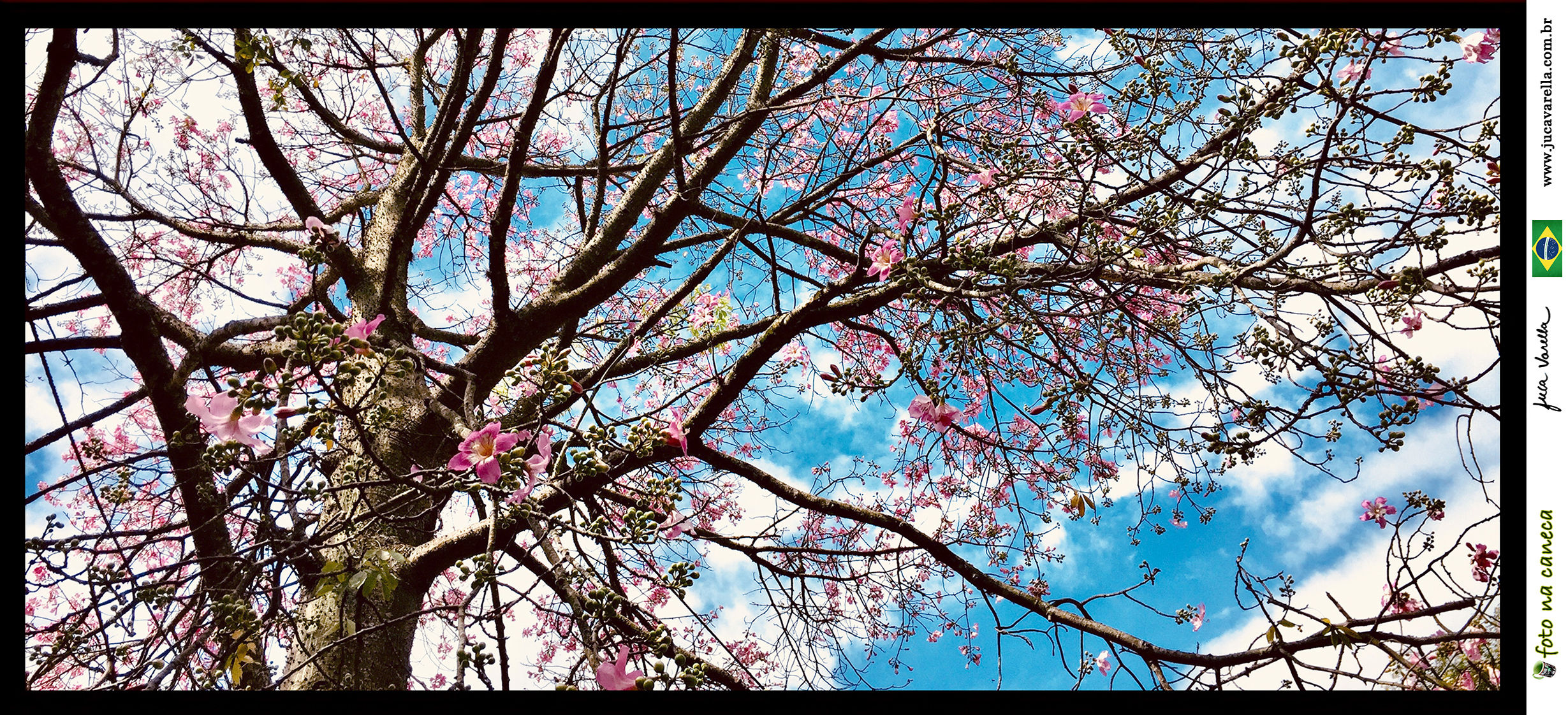 SÉRIE OLHARES DA FAZENDINHA - Cenas Fazendinha, Granja Viana, SP, Brasil (2018).