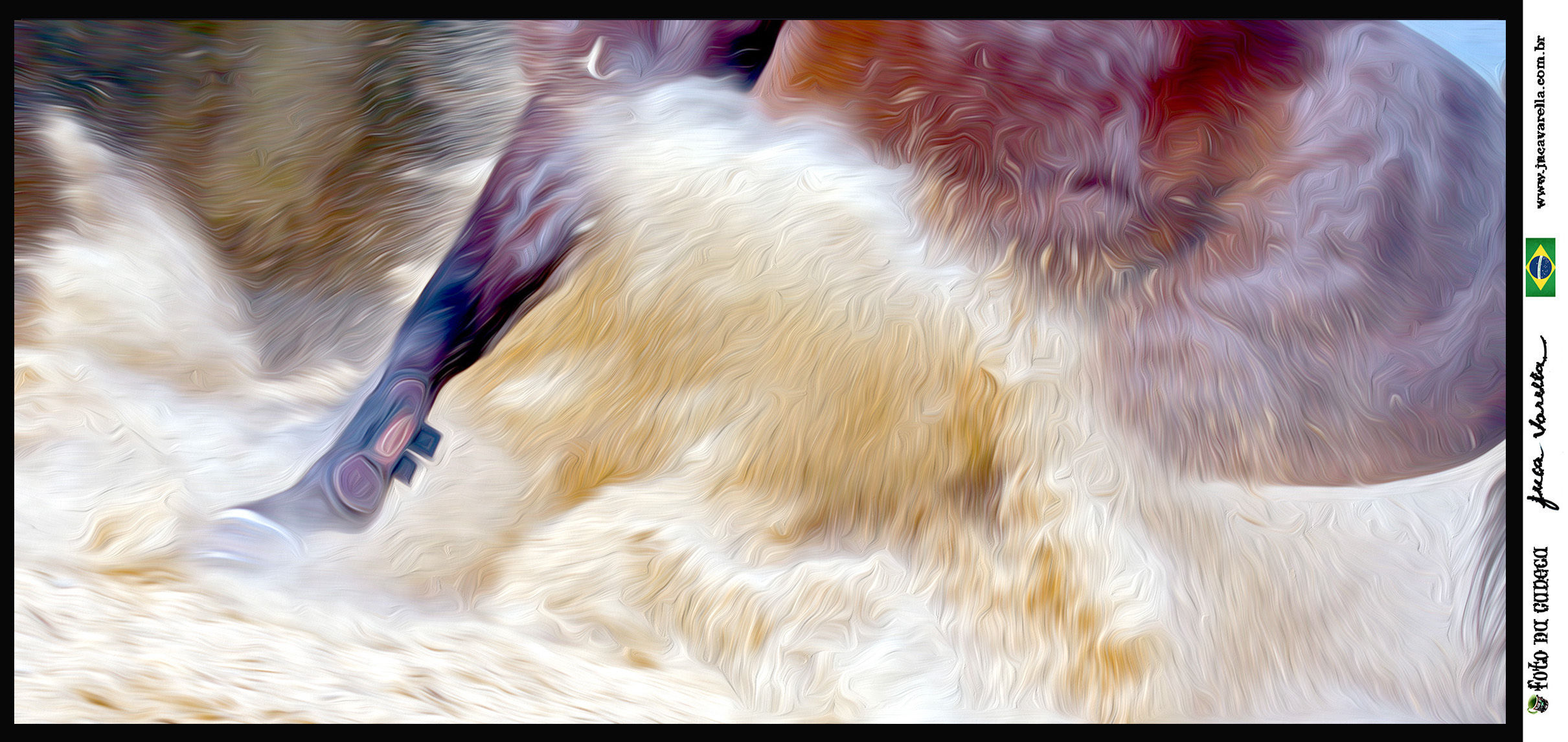 SÉRIE CAVALOS - Lindos cavalos do Centro Hípico Granja Viana - Efeito Pintura