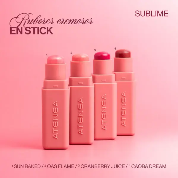 Rubor en Stick Sublime