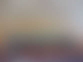 『流木アートを作ろう!』を開催しました!