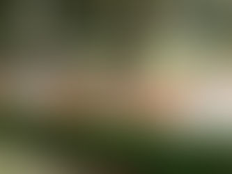 『草木染め体験』を開催しました!