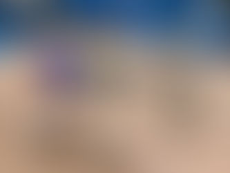 4月18日(土)『木彫りの小鳥を作ろう~バードカービングに挑戦~』を開催しました!