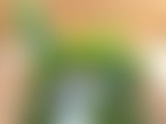 『和風庭園の箱庭を作ろう!』を開催しました。
