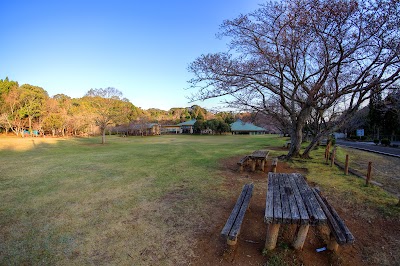 内浦山県民の森