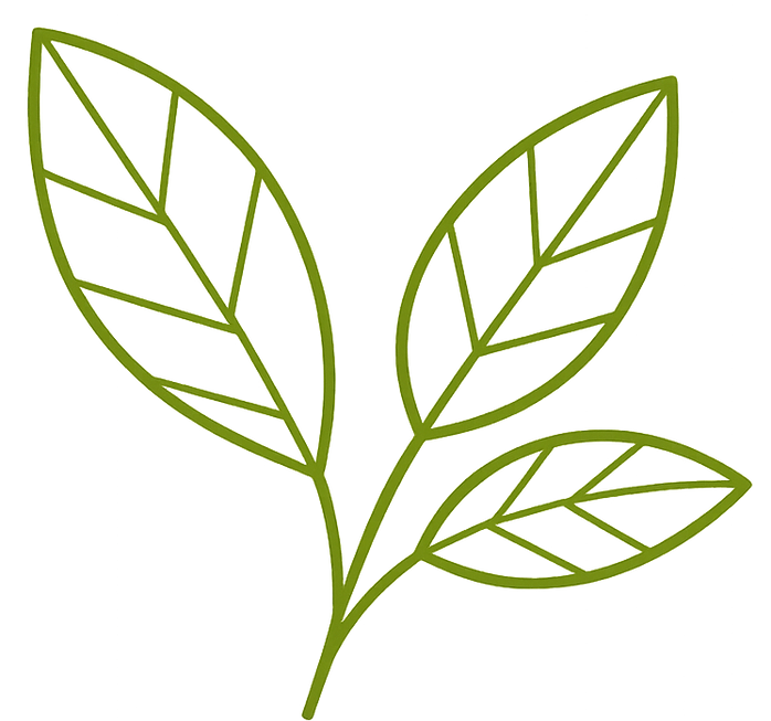 Planta Café.png
