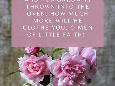 April 26: Verse of the Day!