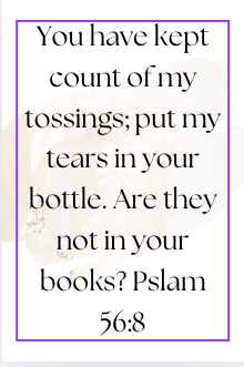 June 25: Psalm 56:8