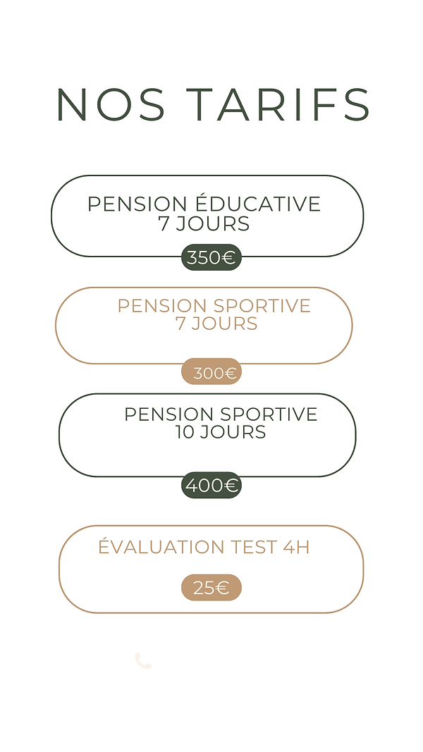 Beige Vert Minimaliste Tarifs Story Instagram (3).png
