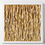 Thumbnail: Melodia Monocromatica - Pure Golden