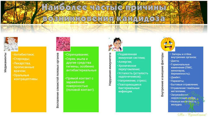 Наиболее частые причины возникновения кандидоза.