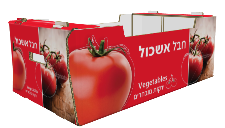 קרטון עגבניות