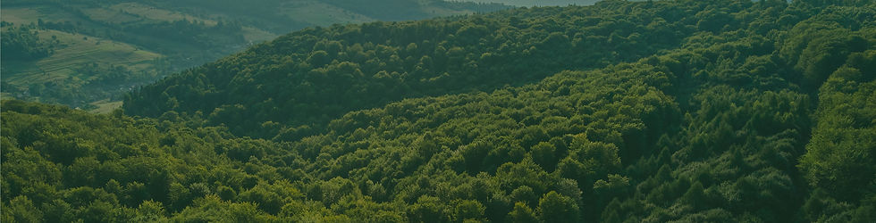 hero-banner-320px-v3 (2).jpg