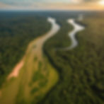 imagem estilo drone mostrando as curvas do rio amazonas.jpg
