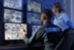 Security ADOBE.jpeg