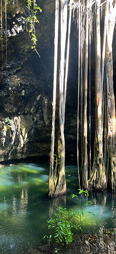 WhatsApp Image 2025-07-24 at 13.10.21.jpeg