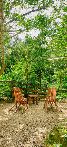 Copia de DSCF9289.jpg