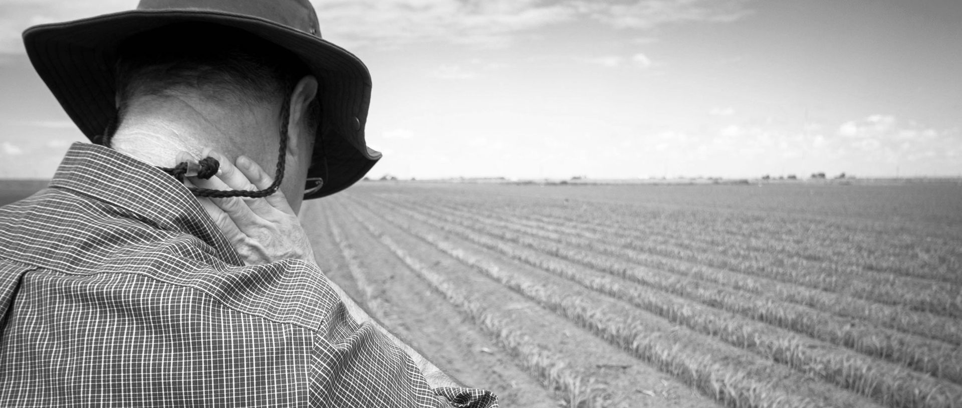 farmers_edited.jpg