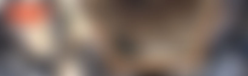 Courtney Creenan to speak at TEDxBuffalo 2013