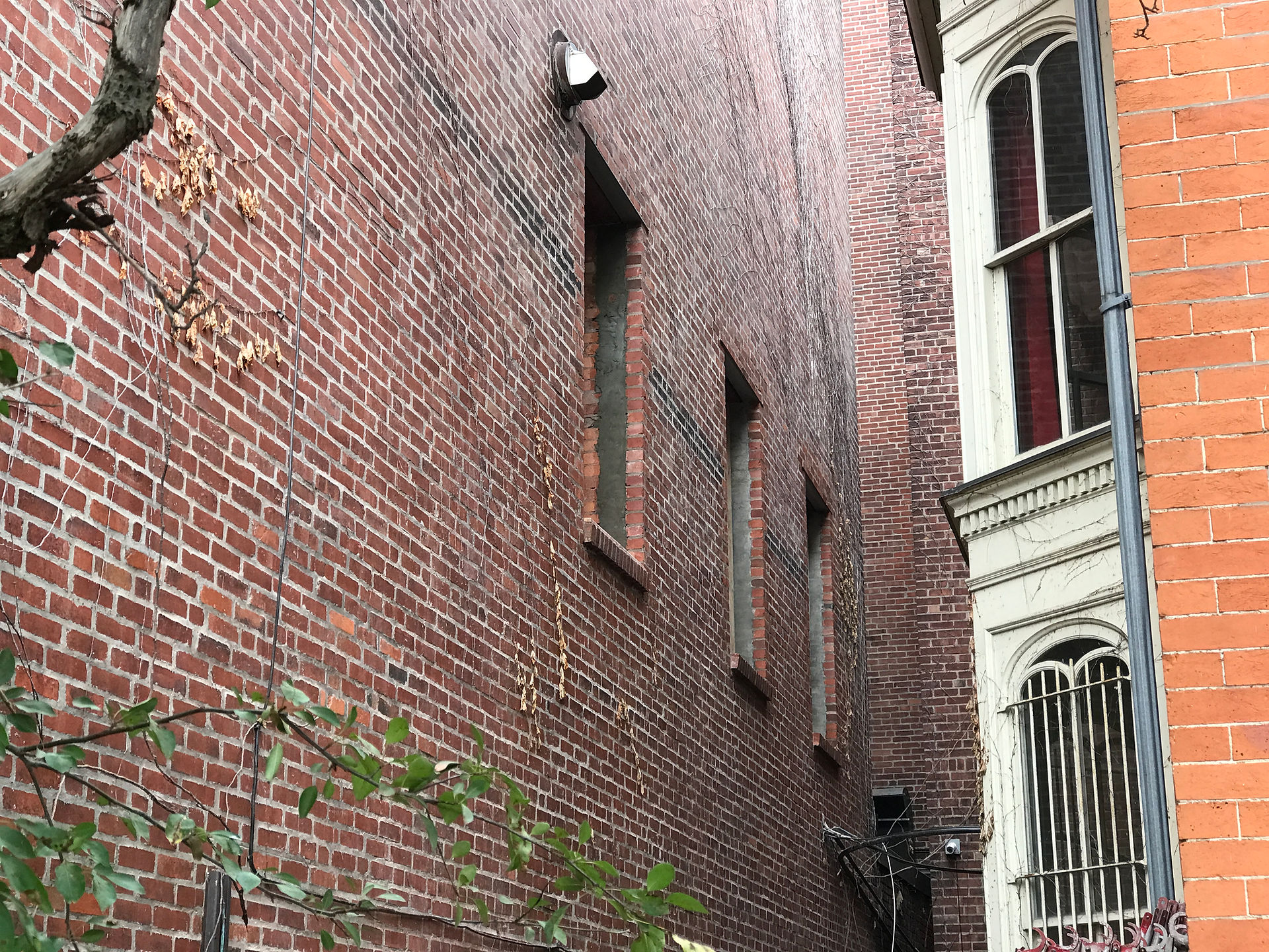 New Window Openings