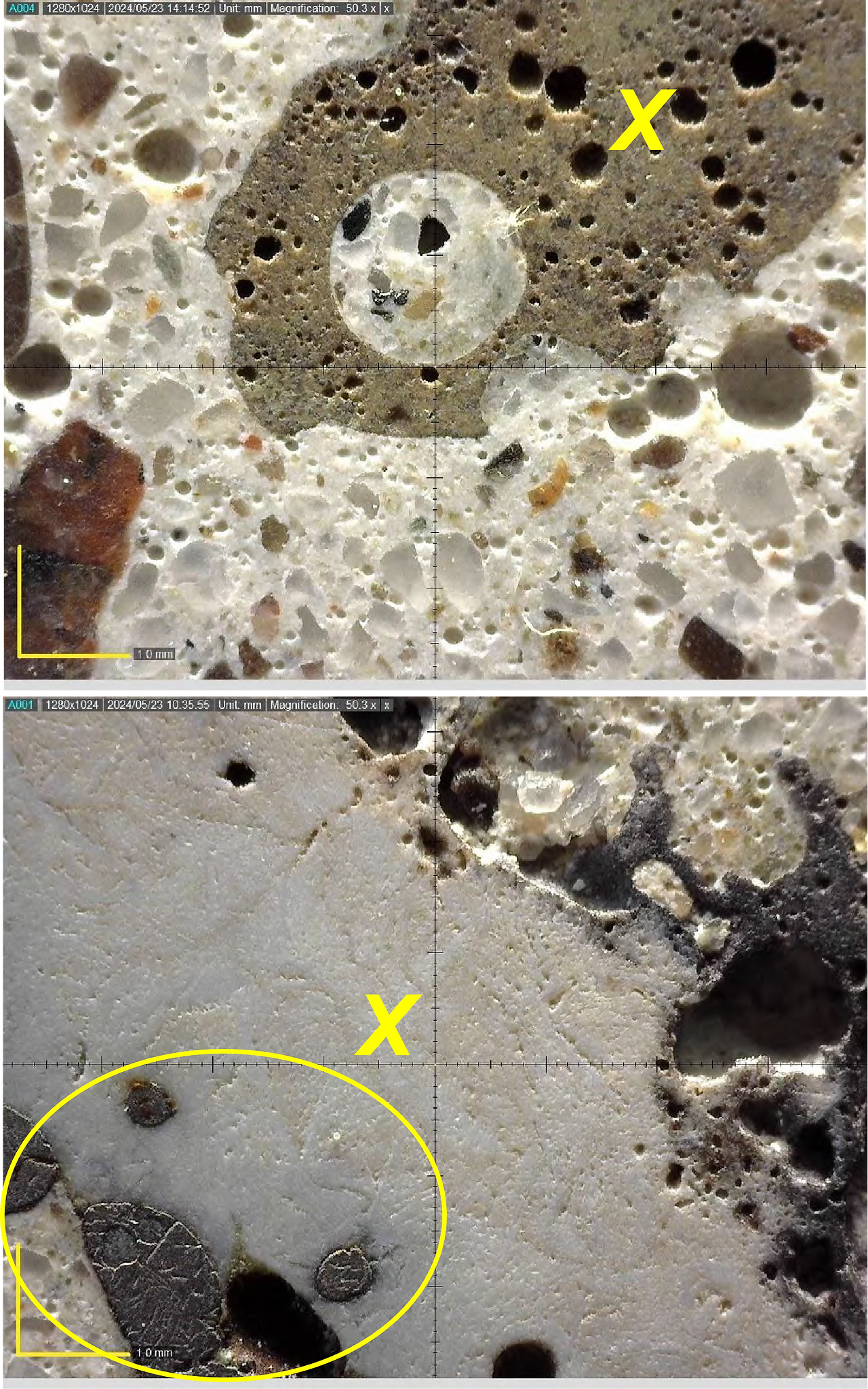 Photomicrograph showing paste fill (x) and  metallic iron (circle) in sample