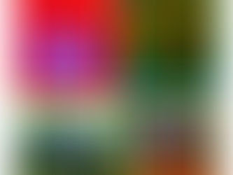 Arte y activismo por la Biodiversidad: La Exposición 'Paz con la Naturaleza' en la COP16