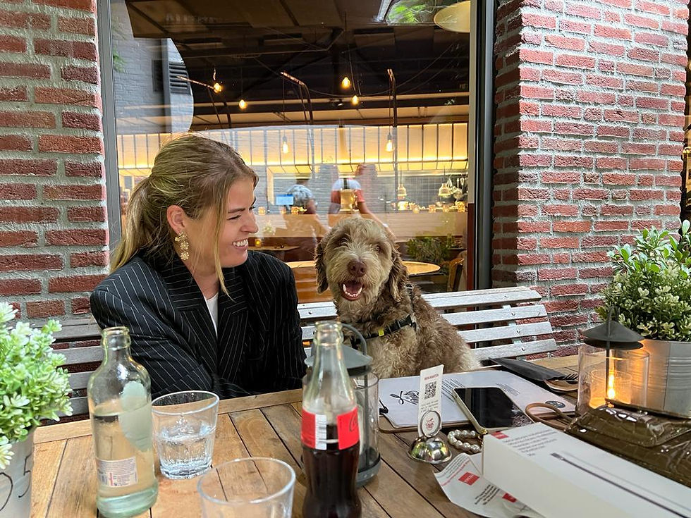 Afbeelding van WhatsApp op 2025-06-23 om 13.35.17_7bc0b64a.jpg