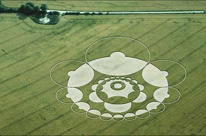 cropconf.jpg
