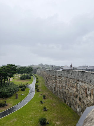 suwon (2).jpg
