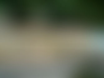 Something is Happening in Latin America