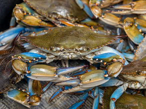 Seafood Gumbo