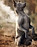 elevage thai ridgeback