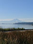 Photo of Mt. Rainier taken by Founder David Blanford