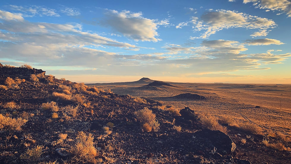 desert scene in Albuquerque, NM