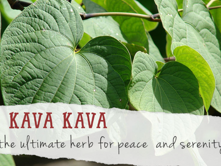 Herbs and Dietary Supplements with Allopathic Medicines
