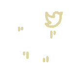 social media.gif