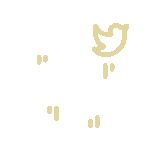 social media.gif