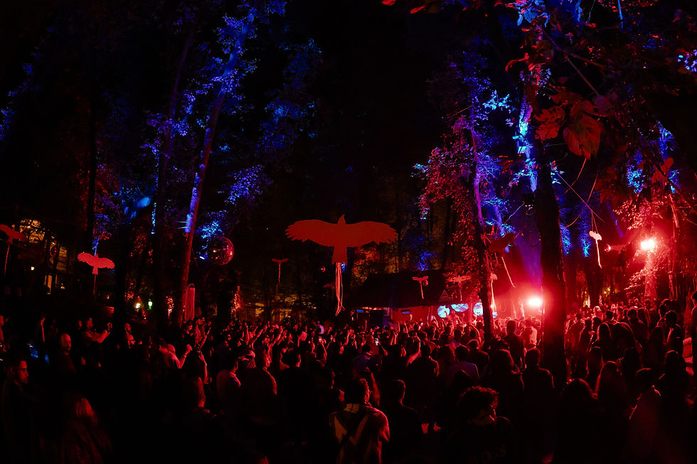 Junglestage5.JPG