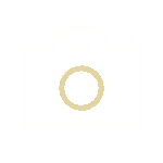 photo camera.gif