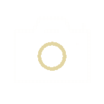 photo camera.gif