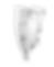 DSC06398_edited_edited.png