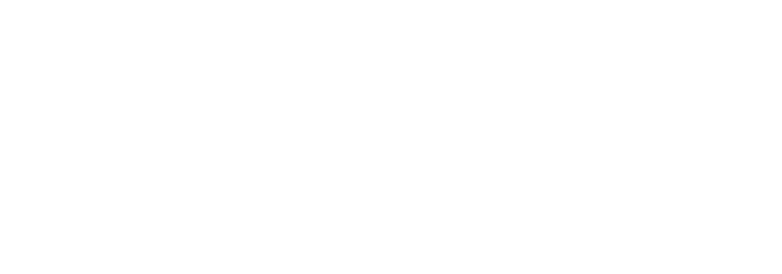 Voodoo Logo_edited.png