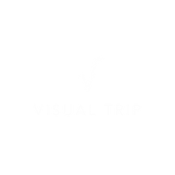 Visual Trip logo.png