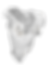 DSC06468_edited.png