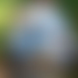 How a New Roof Can Lower Your Energy Bills in Northern Georgia