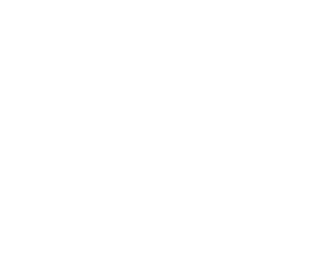 MAI Impact Initiative