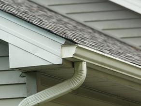 Why Regular Gutter Cleaning Can Save Your Roof in North Georgia